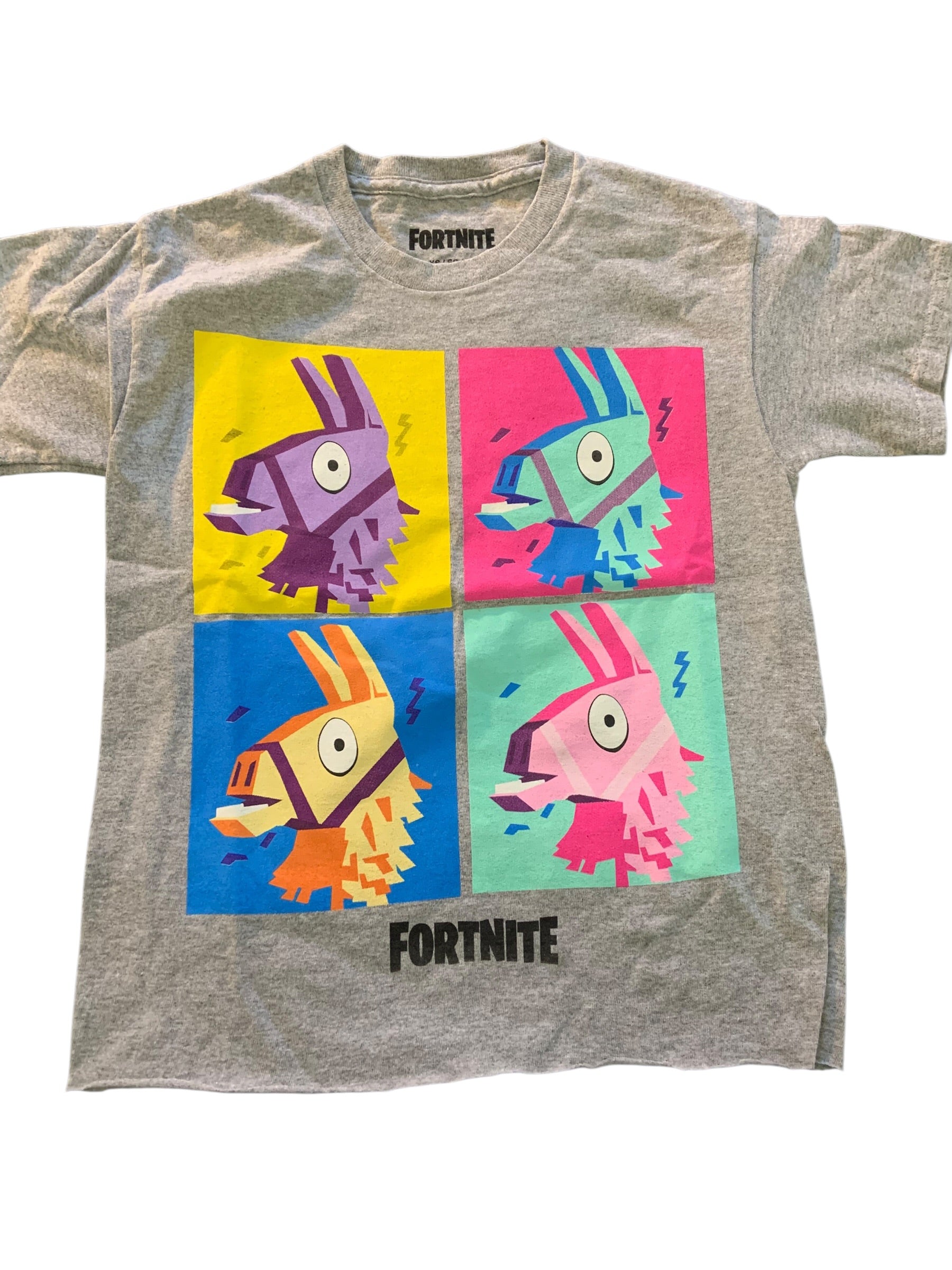 Kids Fortnite Loot Llama Graphic Tee- XS (4/5)
